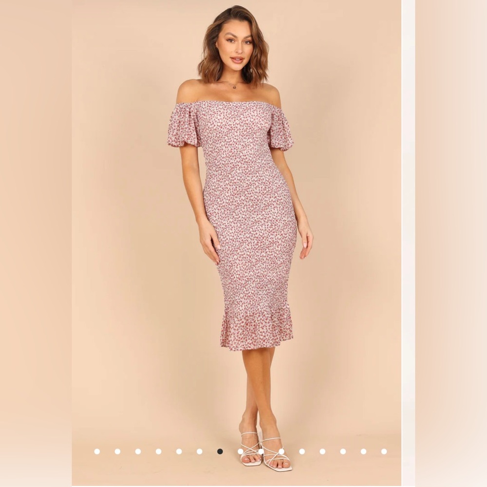 NWT Petal & Pup Large dress